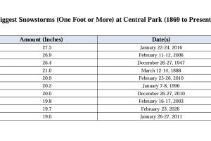 Las 10 mayores tormentas de nieve en Central Park.