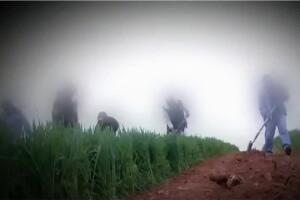 Los indocumentados de Trump