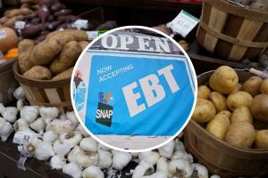 Más de 2.9 millones de floridanos dependen de SNAP, que podría suspenderse si continúa el cierre federal.