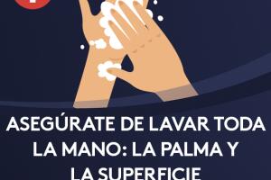 ¿Cómo lavarse las manos de manera correcta?