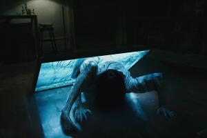 rings-2017.jpg