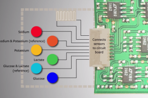 Sensor biotecnológico del sudor