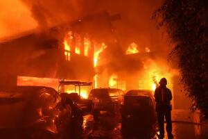 AP24345455046856 (1).jpg