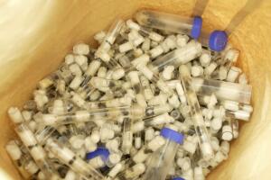 Kenya Ants Trafficker