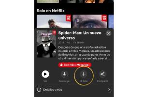 netflix_plataform_screen