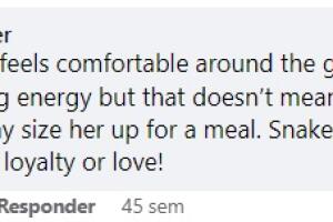 screen_opinion_facebook