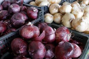 Cebollas rojas