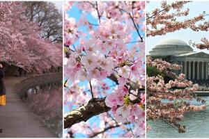 sospechoso-robo (1).jpg