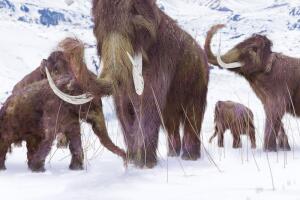 mamut-lanudo-resurreccion_2.jpg