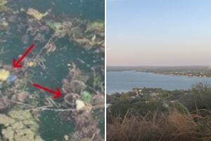 ameba come cerebros muere bañista Lago Lyndon B Johnson Austin Texas