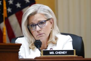 Liz cheney