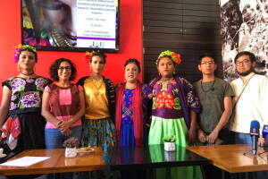 Colectivo por la Ciudadanía de las Mujeres A.C.