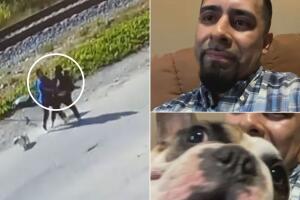 PERRO-CHICAGO-.jpeg