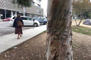 Parques de la MS-13 en Los Ángeles