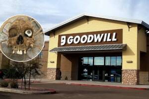 Encuentran cráneo humano en caja de artículos donados en Goodyear