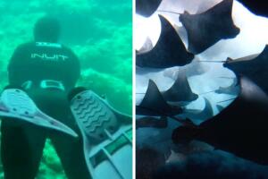 grupo_mantarrayas_tiktok