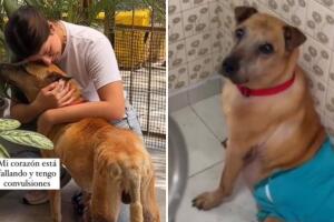 Joven publica en video el último día de su perrito antes de morir y conmueve a TikTok