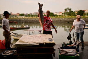 PESCADORES PANAMÁ