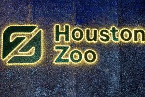 GALERIA ZOO/ZOO5.jpg