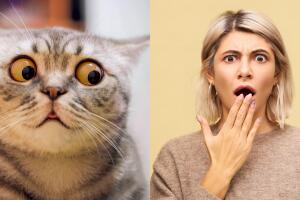 Se esconden de su esposa e hijos