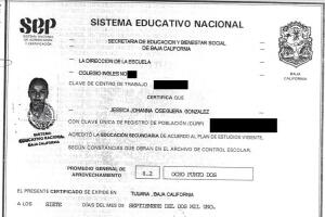 Jessica Johanna Oseguera González