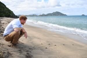 El príncipe Harry con tortuguitas durante su visita a Isla Nieves.
