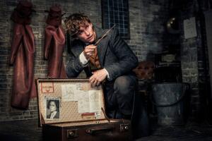FANTASTIC BEAST'S NEWT SCAMANDER Varita Grosby.jpg