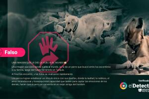 perro-terremoto-promo