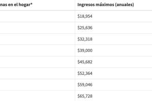 tabla de ingresos.jpg