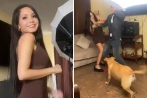 perro_protege_actriz_muerde_a_delincuente