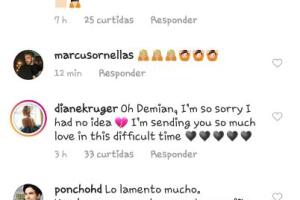 Stefanie Sherk, esposa Demián Bichir 