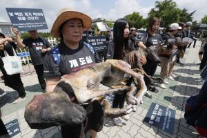 South Korea Dog Meat