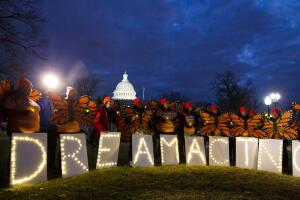 Government Shutdown