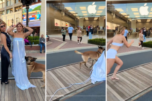 Perro le roba el vestido a la influencer Hannah Stocking mientras posaba para una foto