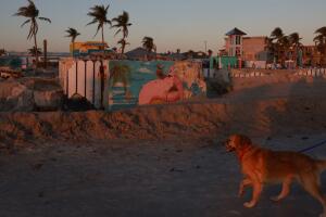 Orden de evacuación Fort Myers Beach huracán Milton incluye boleto regreso casa