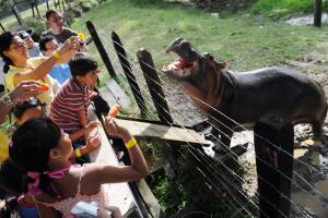 Hacienda Nápoles Pablo Escobar