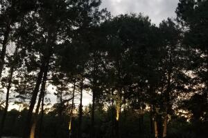 ATARDECER-HOUSTON-26.jpg