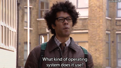 gif-vista.gif