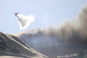 Incendio Lime