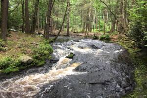 Bushkill falls 7 .jpg