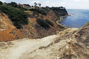 AP16195794457284 (1).jpg