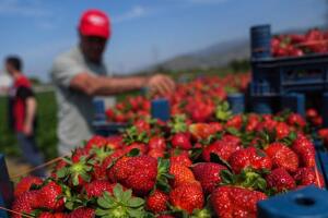 La alta demanda por San Valentín coincide con menor oferta en el mercado.