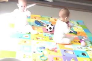 Ludwika Paleta gemelos