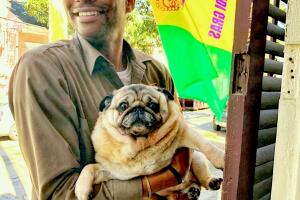 El chico de UPS quese fotogrwafía con los perros