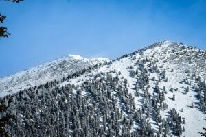 Esquiador pierde la vida tras impactarse contra un árbol en Flagstaff