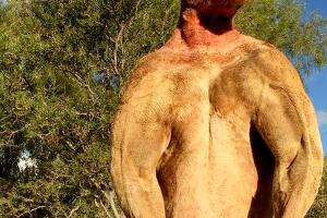 Roger el canguro