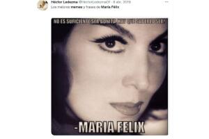 memes maria felix (5).jpg