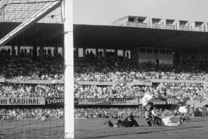 1954 World Cup