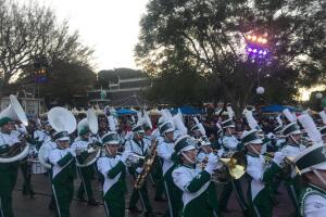 Desfile Disneyland 3.jpg