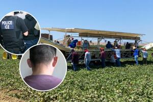 Trabajador agrícola narra cómo fue que su hijo fue detenido en una corte y luego deportado a México. 